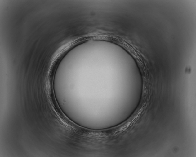 X0000100930245200806241145