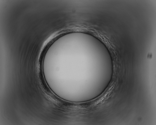 X0000100930246200806241145