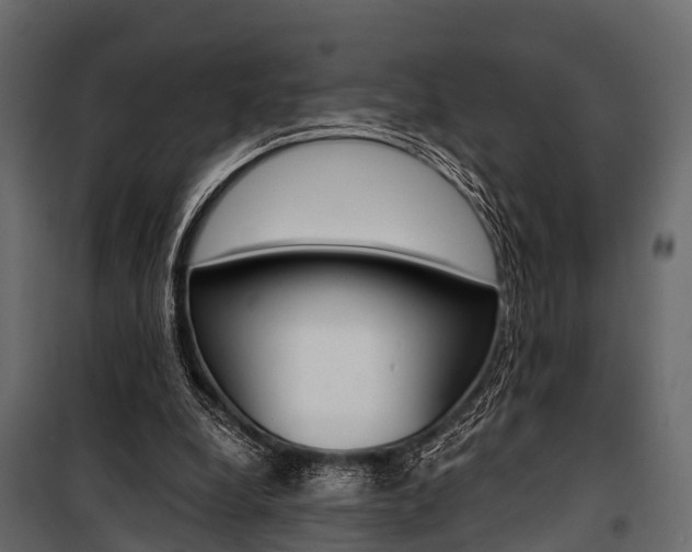 X0000100930248200806241145