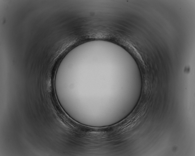 X0000100930251200806241145