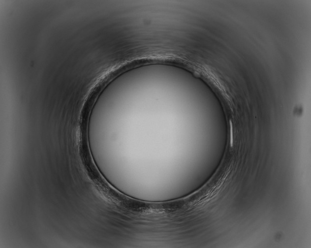 X0000100930252200806241145