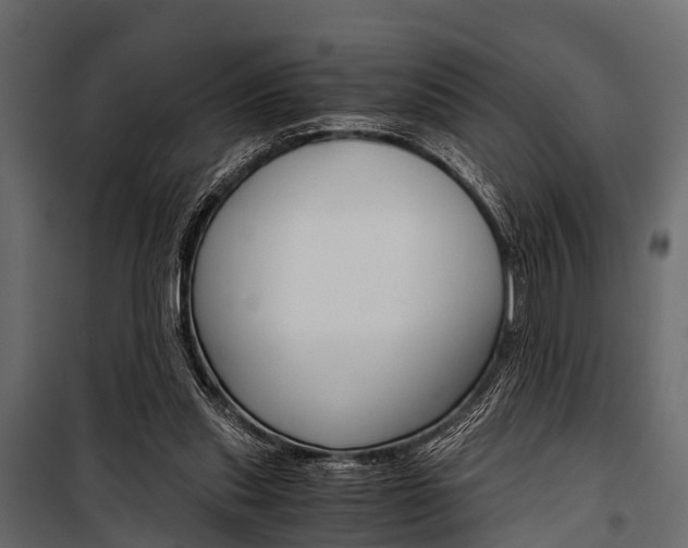 X0000100930253200806241145