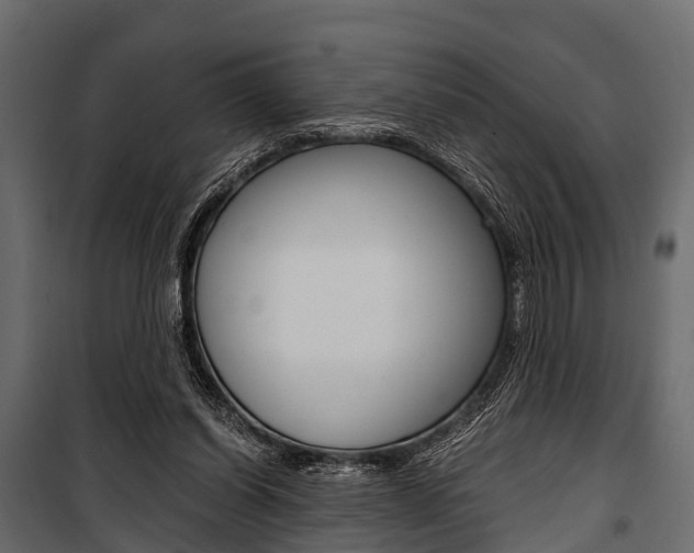 X0000100930254200806241145