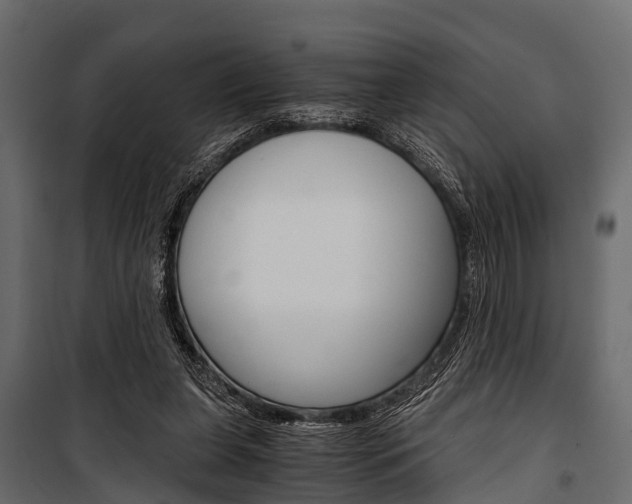 X0000100930255200806241145