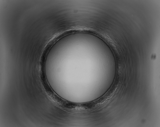 X0000100930256200806241145