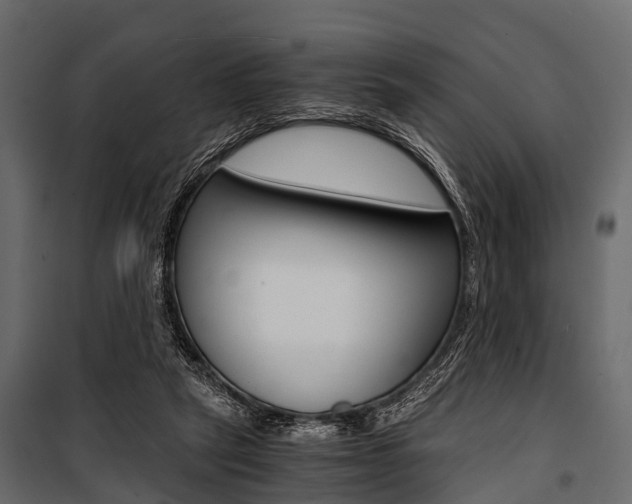 X0000100930257200806241145