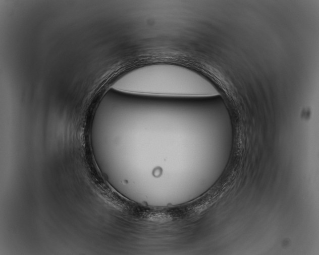 X0000100930258200806241145