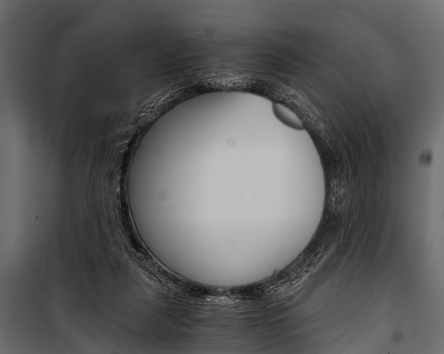 X0000100930259200806241145