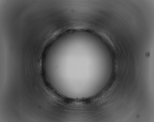 X0000100930260200806241145