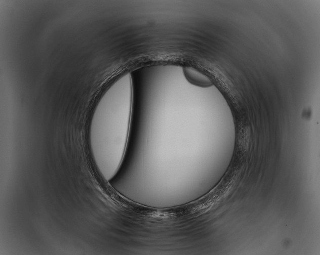 X0000100930261200806241145