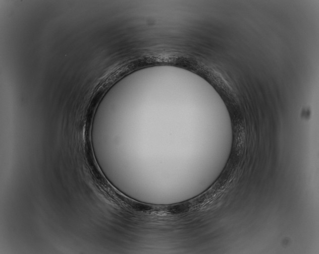 X0000100930262200806241145