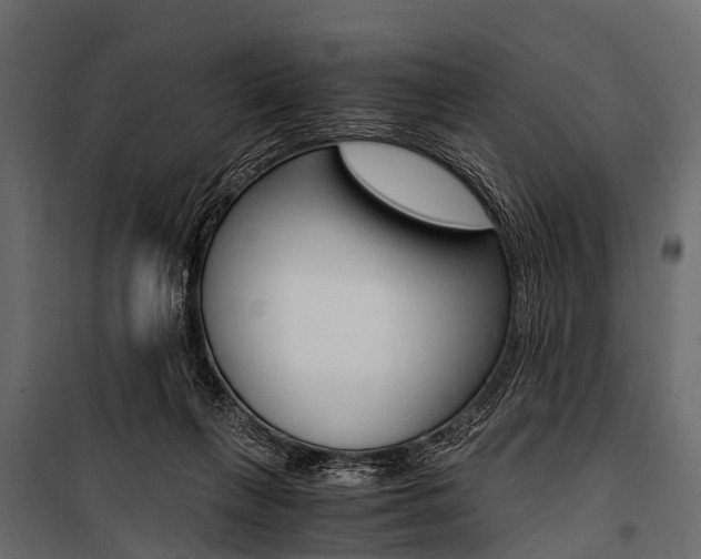 X0000100930263200806241145