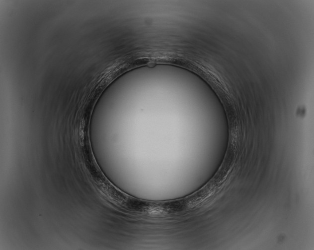 X0000100930264200806241145