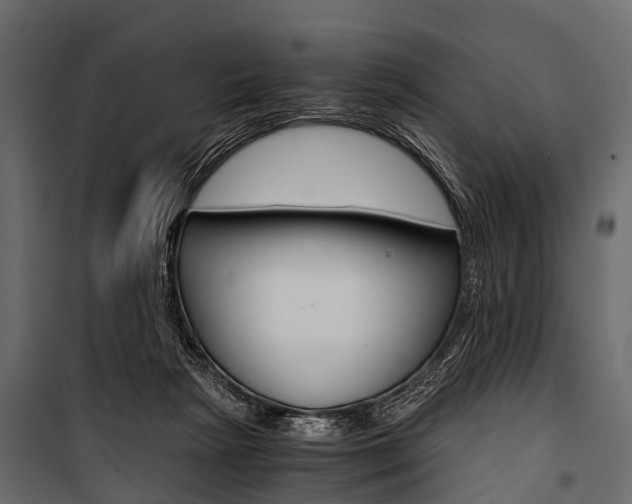 X0000100930265200806241145