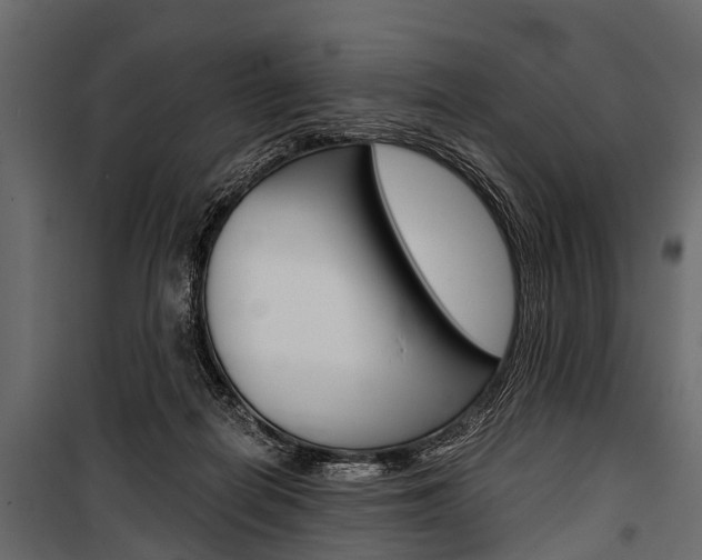 X0000100930266200806241145