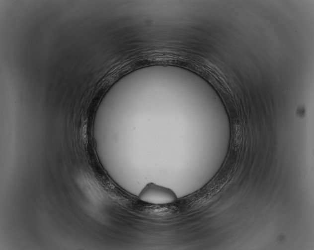 X0000100930267200806241145