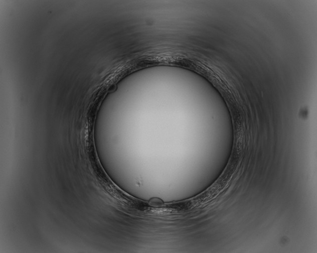 X0000100930268200806241146