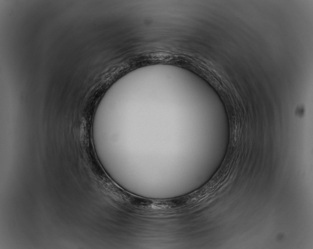 X0000100930270200806241146