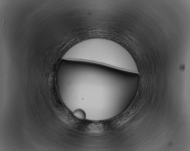 X0000100930271200806241146