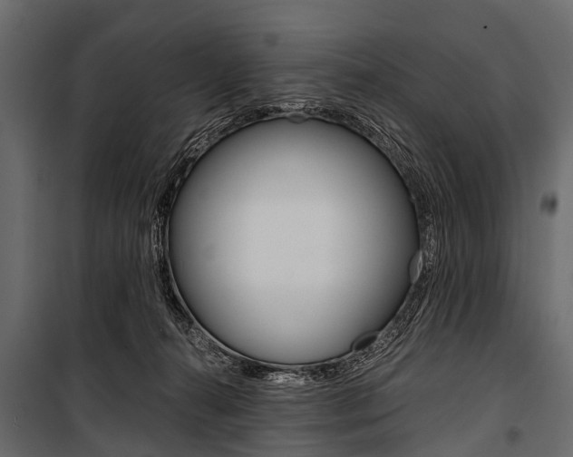 X0000100930272200806241146