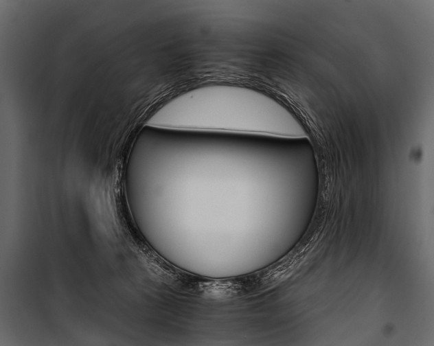 X0000100930273200806241146