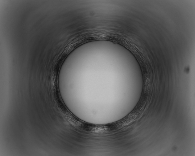 X0000100930274200806241146