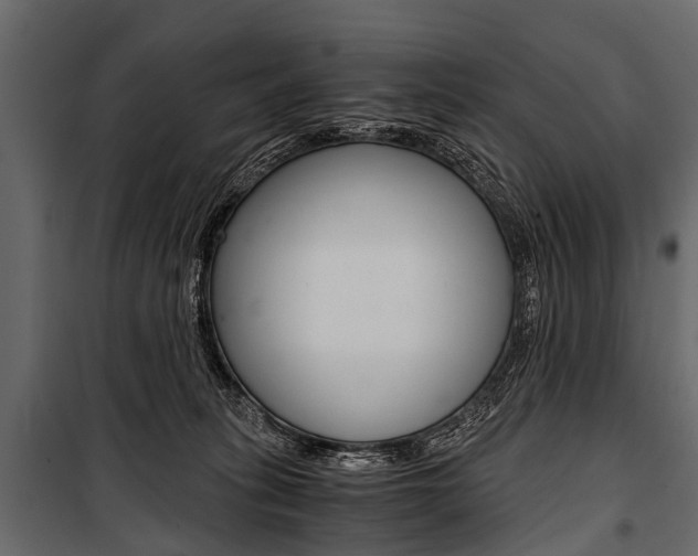 X0000100930275200806241146