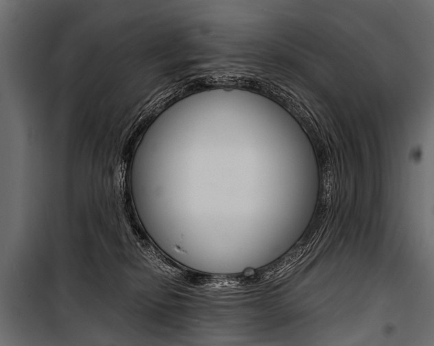 X0000100930278200806241146