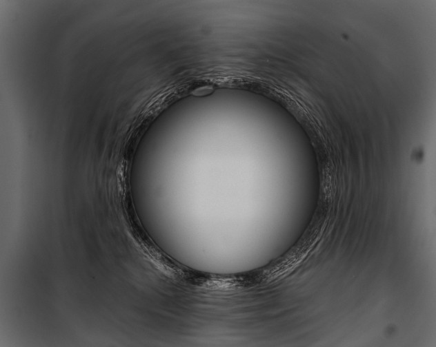 X0000100930280200806241146