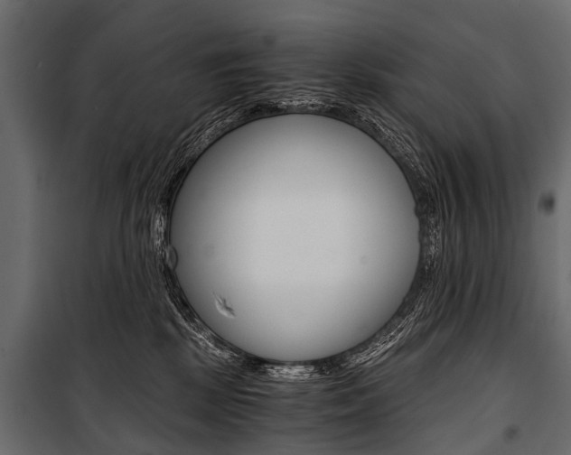 X0000100930281200806241146