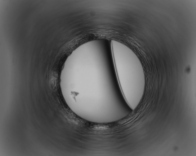 X0000100930283200806241146