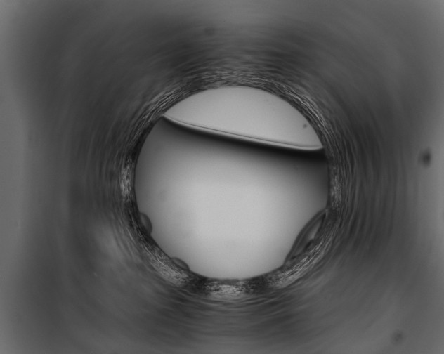 X0000100930285200806241146