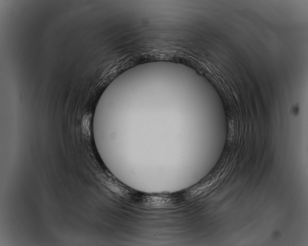 X0000100930286200806241146