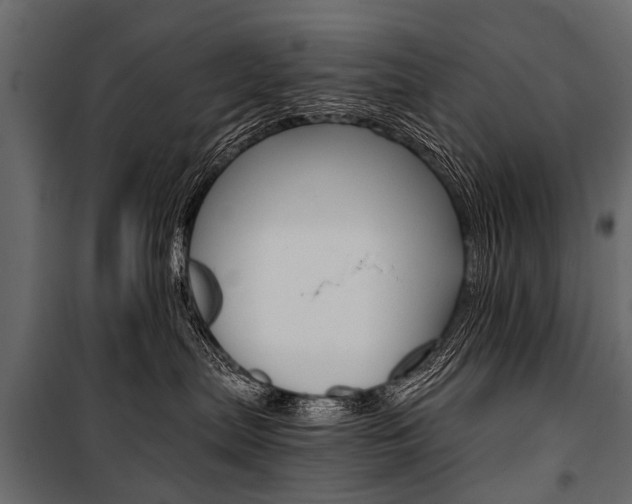 X0000100930287200806241146