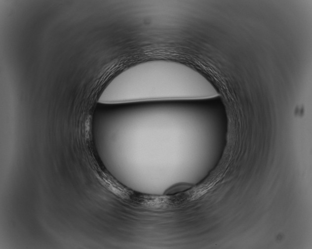 X0000100930288200806241146