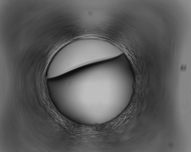 X0000100930289200806241145