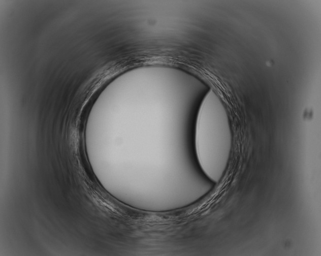 X0000100930290200806241145