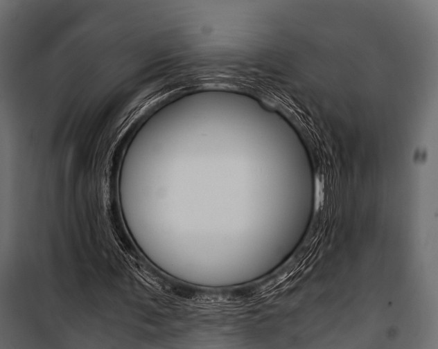 X0000100930291200806241145