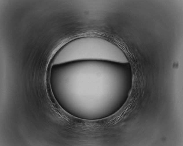 X0000100930292200806241145