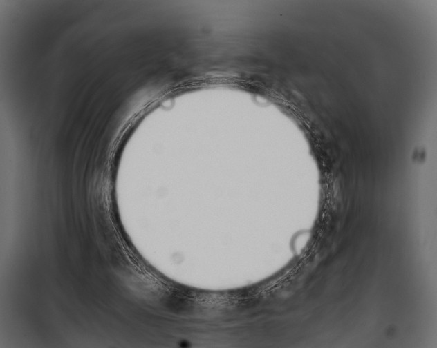 X0000100930293200806241145