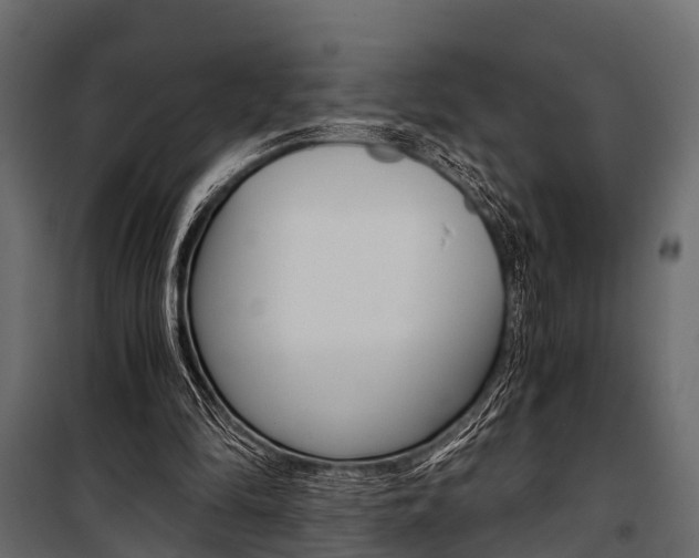 X0000100930294200806241145