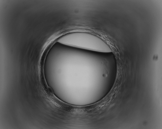 X0000100930296200806241145