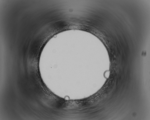 X0000100930297200806241145