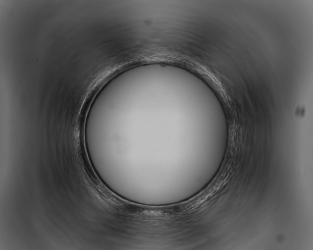 X0000100930298200806241145