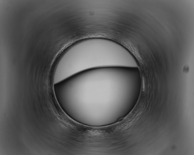 X0000100930300200806241145