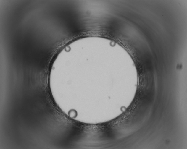 X0000100930301200806241145