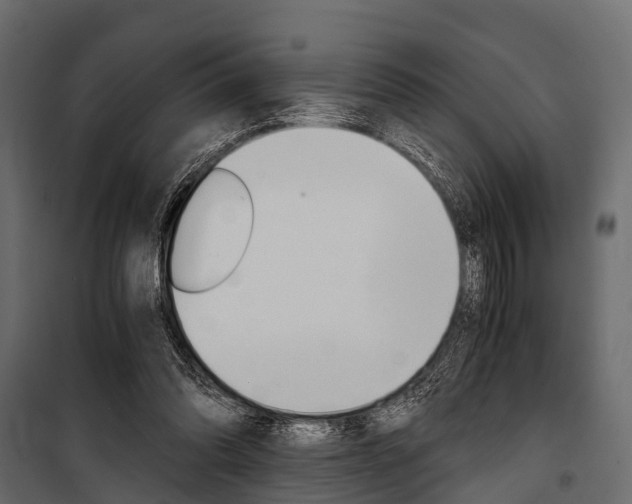 X0000100930302200806241145