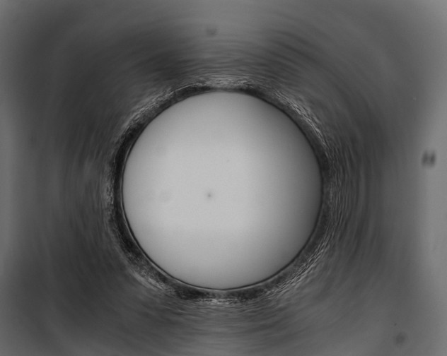 X0000100930303200806241145