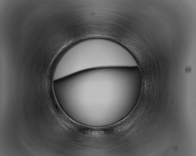 X0000100930304200806241145