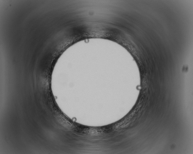 X0000100930305200806241145